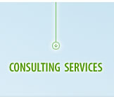 MBA, LLC Consulting Services