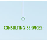 MBA, LLC Consulting Services